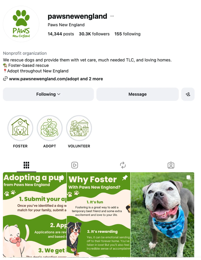 Screenshot of the PAWS New England Instagram profile showing the refreshed social brand.